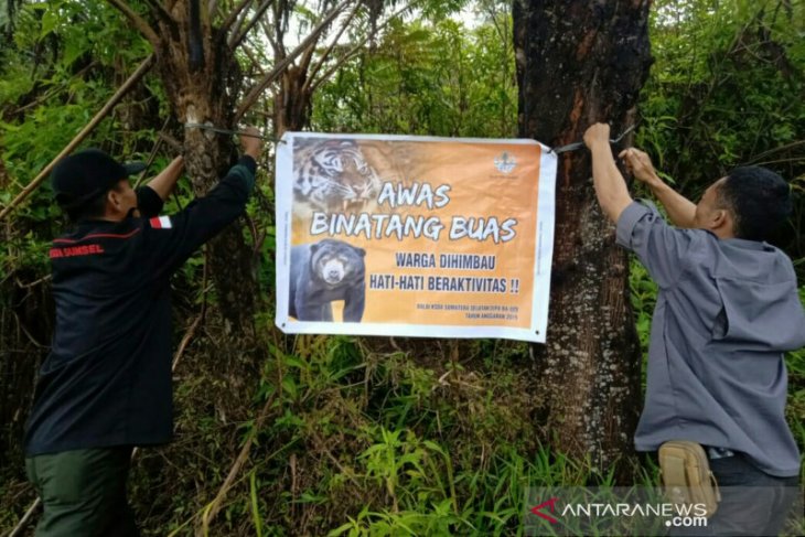 BKSDA pasang spanduk peringatan bahaya binatang buas di Desa Pulau Panas dan Gunung Dempo