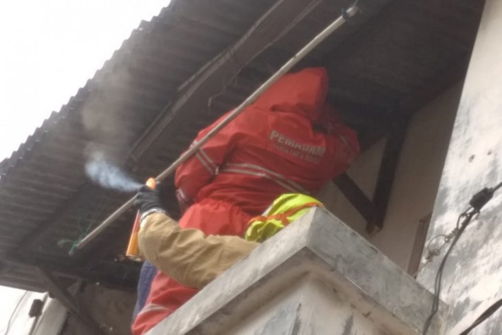 Seorang pria Bekasi tewas disengat tawon