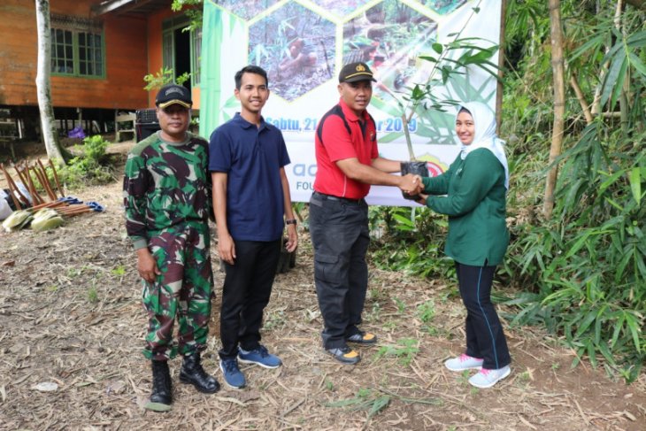 YABN, Tanta leaders plant trees to restrain erosion