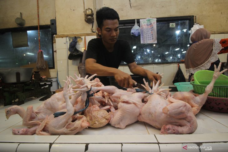 Harga daging ayam naik