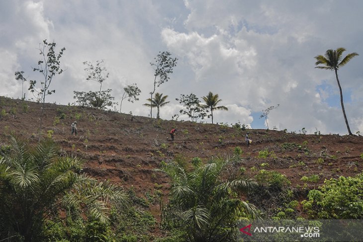 Lahan kritis di Jabar 