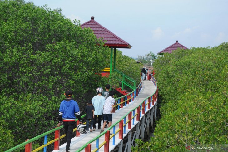 Ekowisata mangrove Pamekasan 