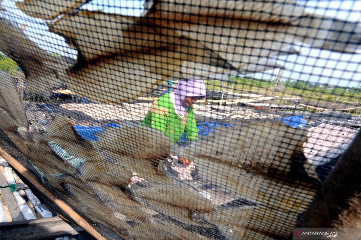 Target produksi perikanan tangkap 2020