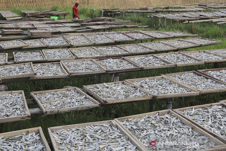 Produksi ikan asin berkurang 