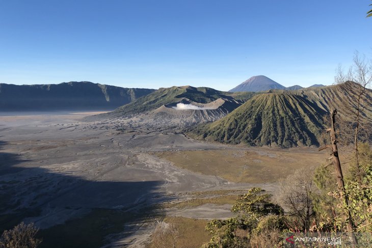 Bromo bebas kendaraan bermotor pada