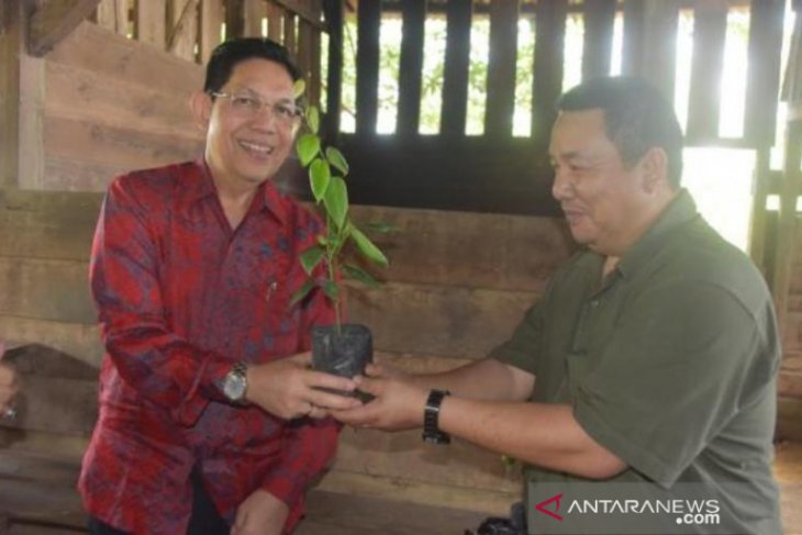 Pengusaha Mali Afrika Barat impor 40 kontainer lada dari Bangka Belitung