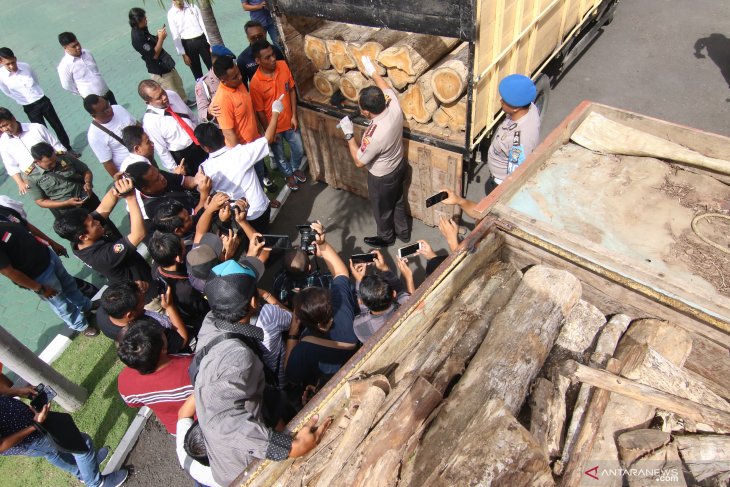 Ungkap pencurian kayu jati perhutani 