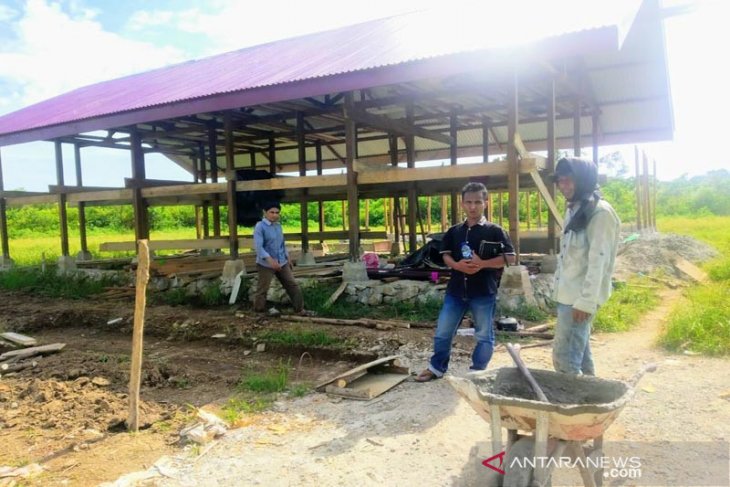Sapi Pengadaan Telah Tiba Proyek Pembangunan Kandang Diputusin Kontrak Antara News Aceh