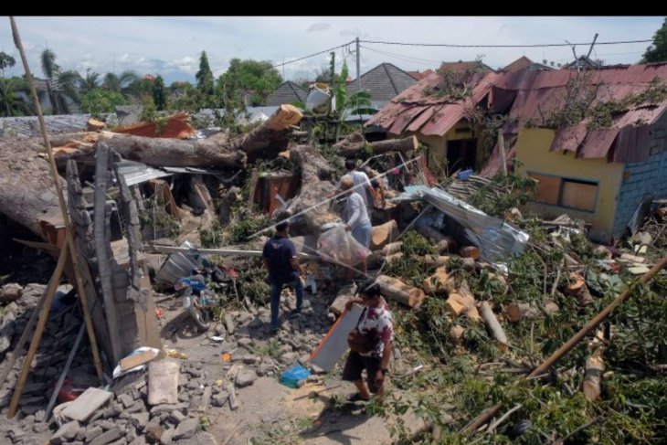 Rumah hancur tertimpa pohon di Denpasar