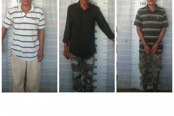 Miliki ganja, tiga warga Sei Lepan dan Babalan ditangkap Polisi Pangkalan Brandan