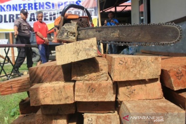 Polres Aceh Barat tangkap pria terduga pelaku pembalakan liar