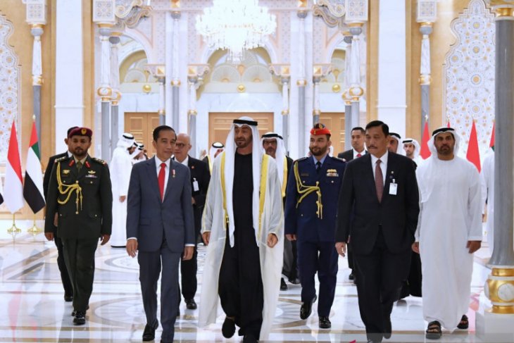 Putra Mahkota UEA ingin pulau, Luhut menawarkan tanah Mori