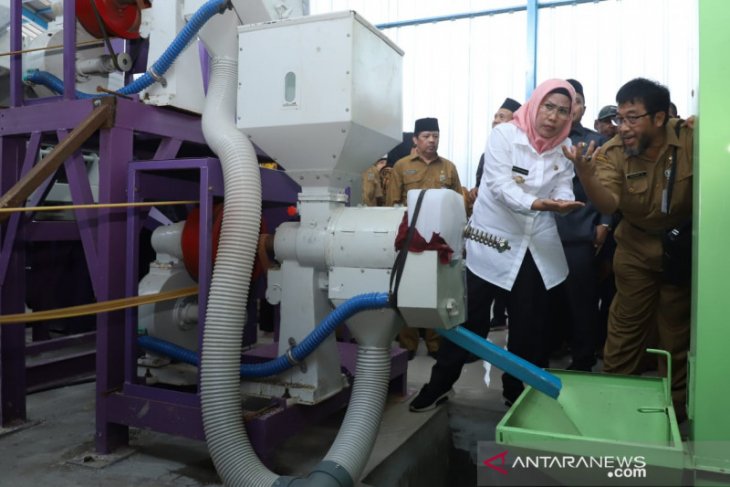 Produksi pertanian surplus, Bupati Tatu kampanyekan beras