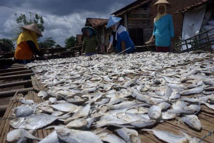 Menjemur ikan asin