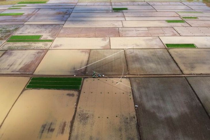 Target cetak sawah baru