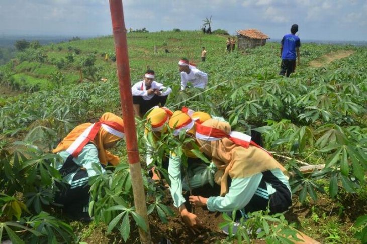 Program penghijauan di lahan kritis