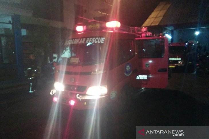 Sarang tawon dievakuasi petugas karena membahayakan warga di Garut