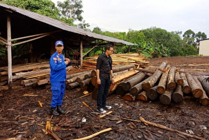 Ditpolair Polda Kalbar sita 850 batang log dan kayu olahan ilegal
