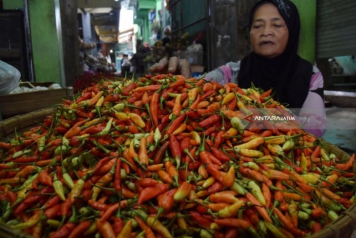 Cabai layu mulai diburu pembeli di Solo
