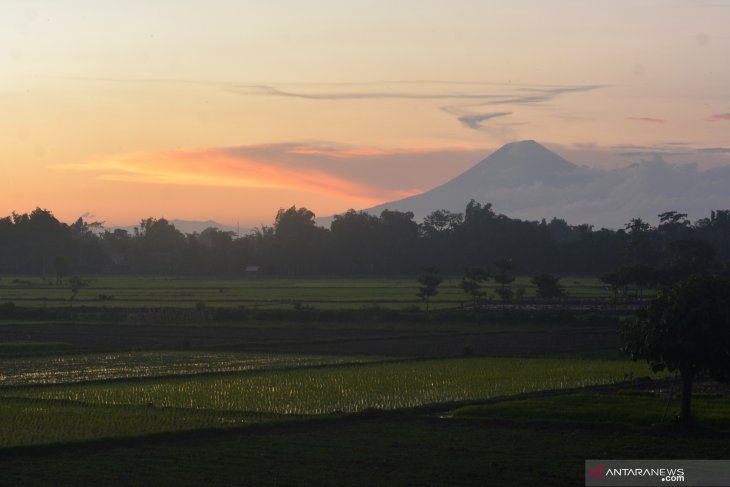 Gunung semeru erupsi