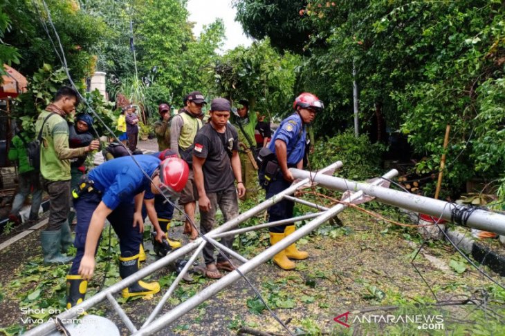 Pohon empat meter tumbang timpa rambu lalu lintas dan jaringan listrik di Menteng
