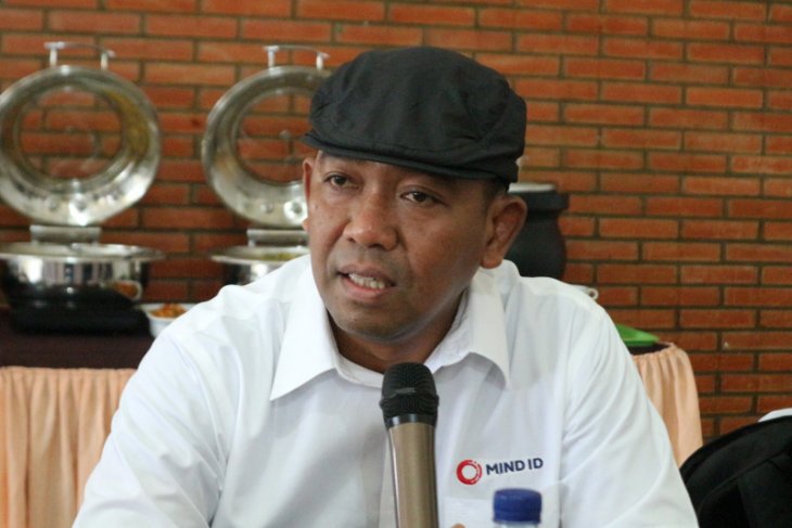 Inalum cari mitra proyek smelter Kalimantan Utara