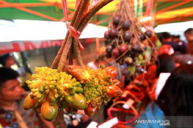 Desa Marajai bersiap gelar Festival Buah Lokal Kalimantan