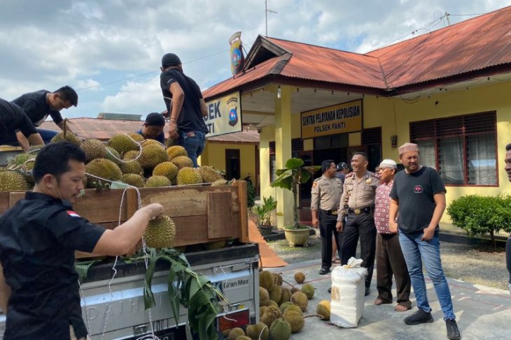 Seperempat ton ganja kering siap edar di dalam truk durian