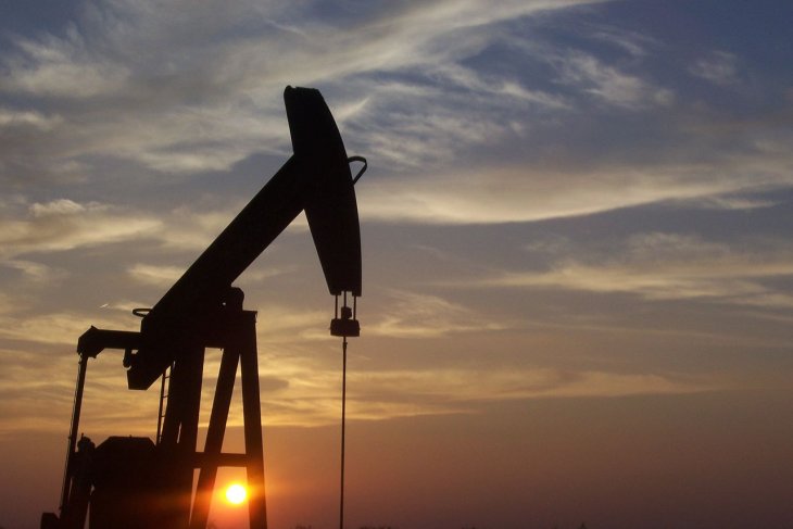 Legislator questions government's oil and gas lifting target