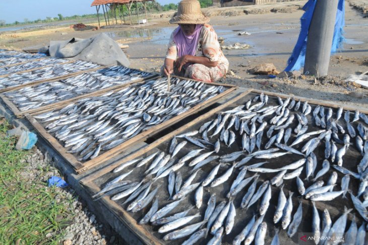 Permintaan ikan kering lemuru