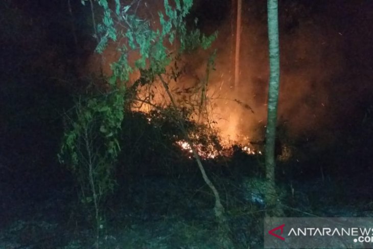 Polresta Ambon  Karhutla di hutan Hatalai tidak timbulkan kerugian