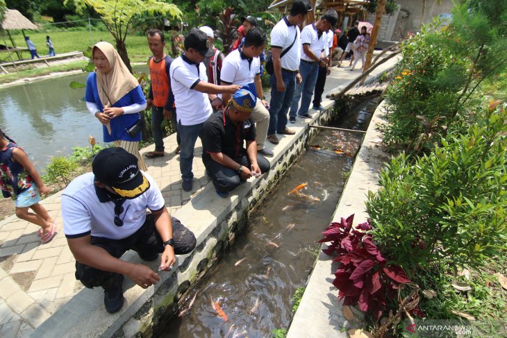 Budi daya ikan di saluran irigasi