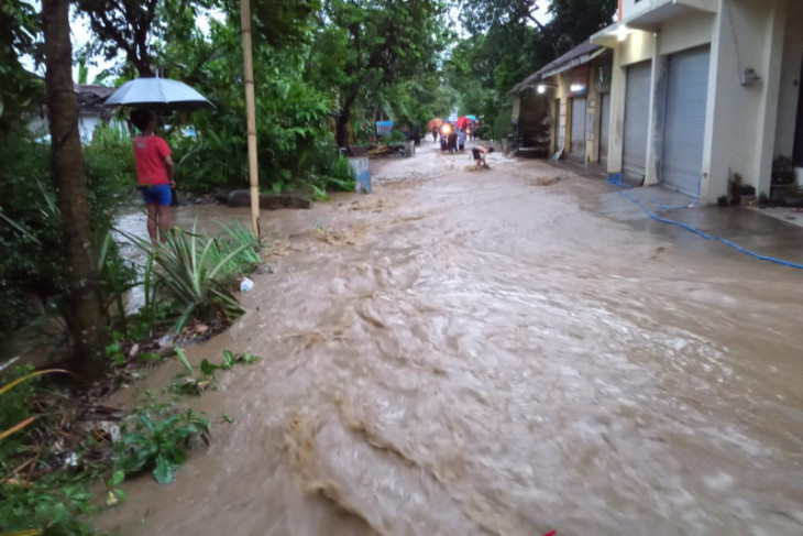 Banjir genangi rumah warga dan lahan pertanian di Jember