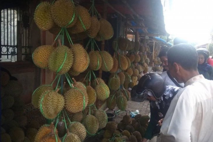 Hasil durian Badui di Lebak dongkrak ekonomi warga