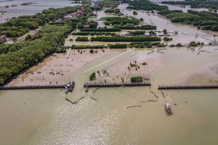 Upaya penanganan abrasi di Demak