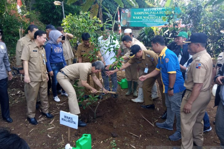 Kampung Buntar Bogor direstorasi dengan tanam bibit pohon pala