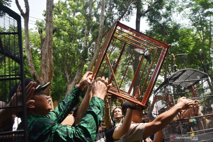 Konservasi burung di Madiun