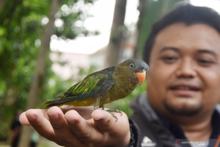 Konservasi burung di Madiun
