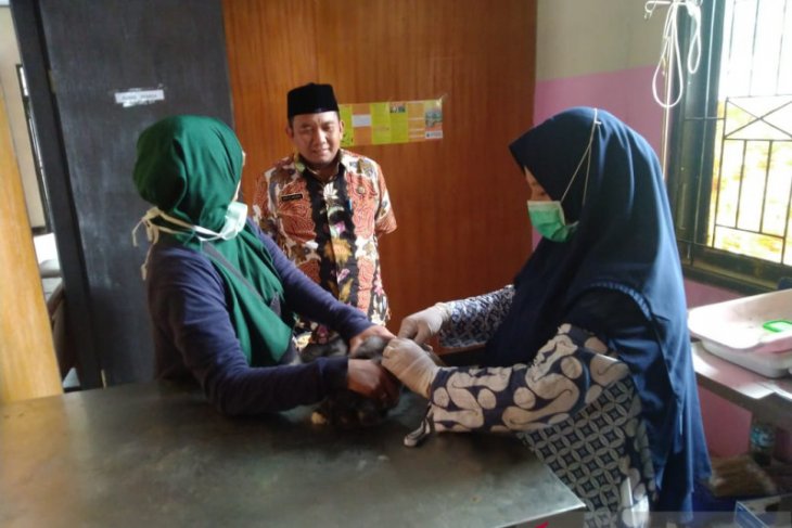 Distan Pandeglang minta UPT gencarkan sosialisasi Puskeswan