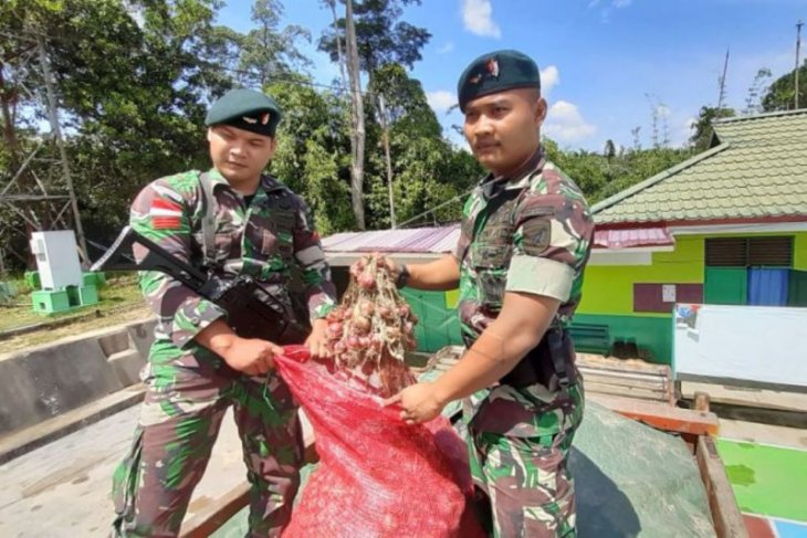 Bawang merah illegal