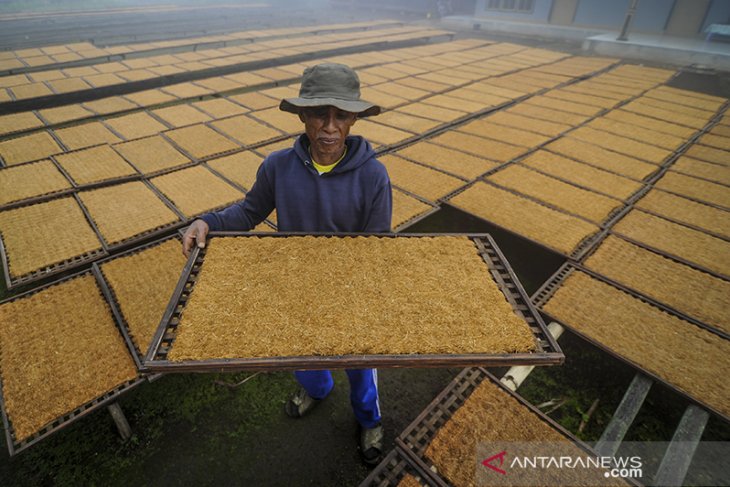 Dampak kenaikan cukai rokok 