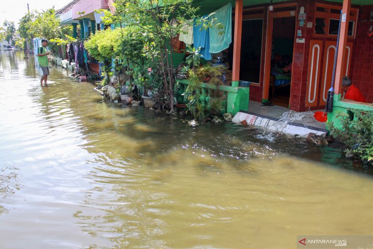 Banjir Sidoarjo belum surut