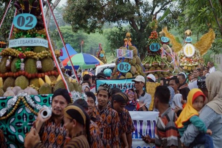 Festival durian lolong