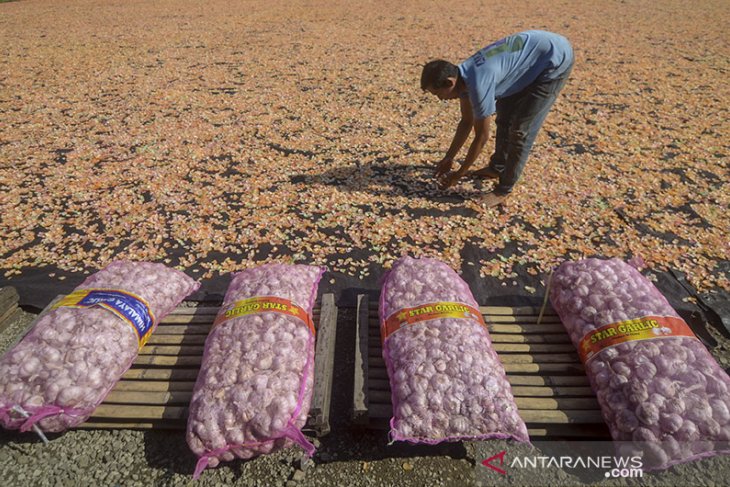 Produksi kerupuk terkendala harga bawang putih 