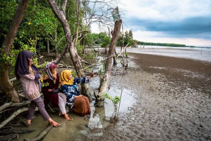 Potensi wisata pantai Demak