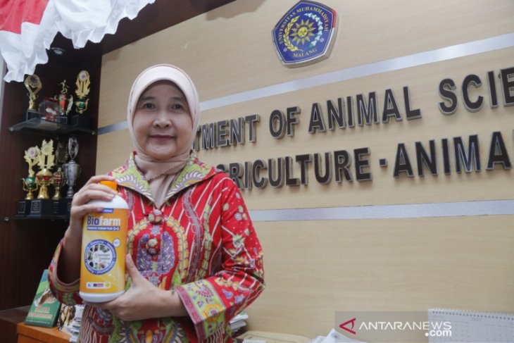 Guru besar UMM temukan inovasi pakan ternak dengan bioteknologi
