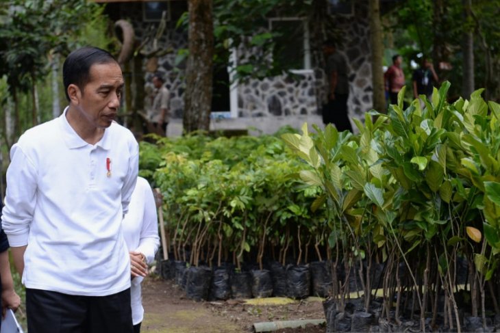 Presiden pastikan WNI yang telah menjalani observasi di Natuna sehat