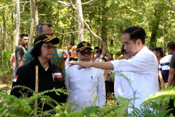 KLHK tindaklanjuti arahan Presiden Jokowi untuk lakukan rehabilitasi lahan