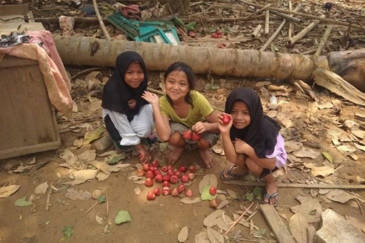 Anak-anak korban bencana di Kabupaten Lebak kembali bermain