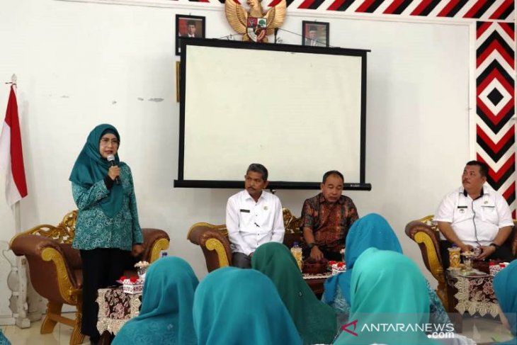 Ketua PKK Tapsel latih perempuan desa agar produktif di bidang ekonomi